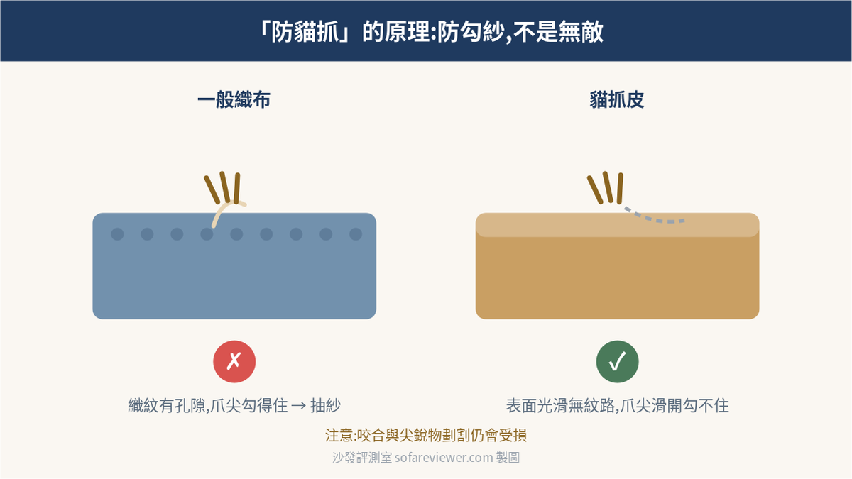 貓抓皮防抓原理示意圖:織布勾紗與貓抓皮光滑表面的差異